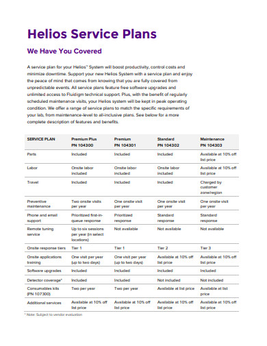17+ Service Plan Templates - Google Docs, Word, Pages, PDF