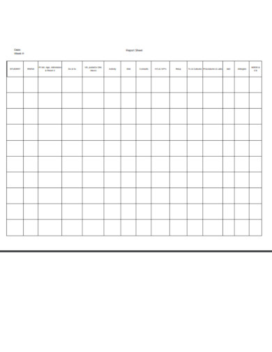 19+ Report Sheet Templates in Google Docs | Pages | PDF | DOC | XLS