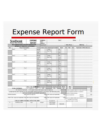 standard-expense-report-form