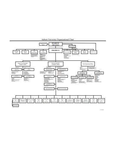 standard organizational chart in pdf