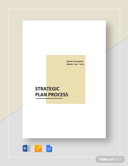 strategic plan process