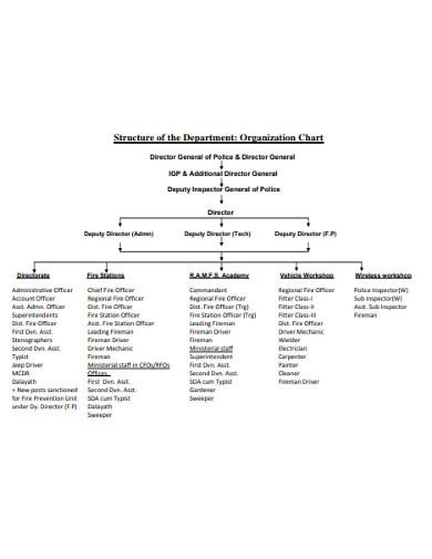 structure of the department organization chart