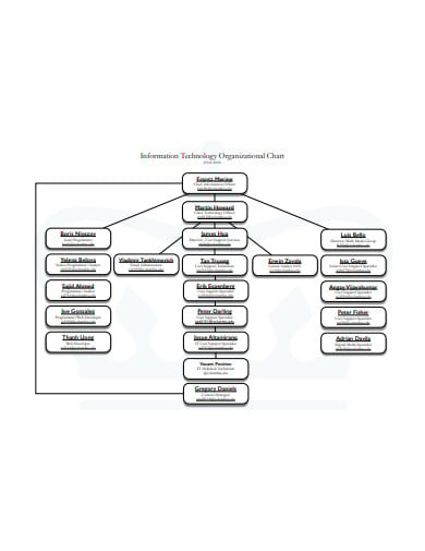 technology organization chart format