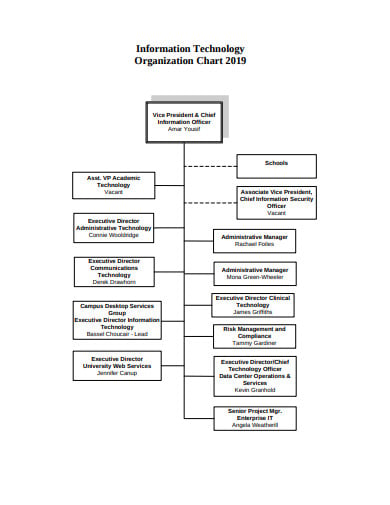 technology organization chart in pdf
