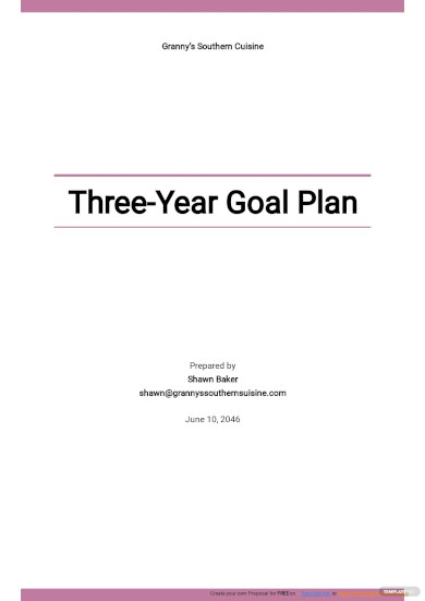 three year goal plan template