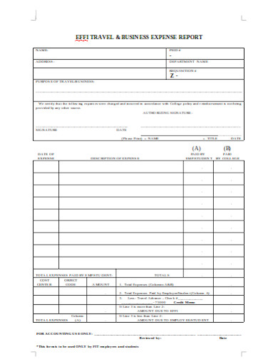 travel and business expense report format