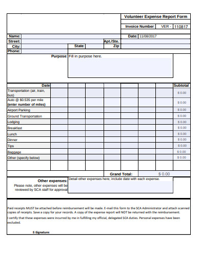 volunteer expense report form