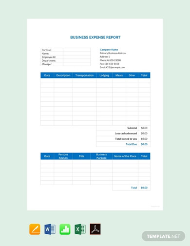 sample business expense report