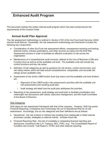 annual audit program template