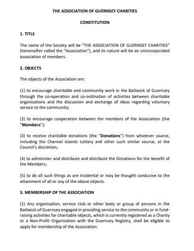 associate charity constitution template