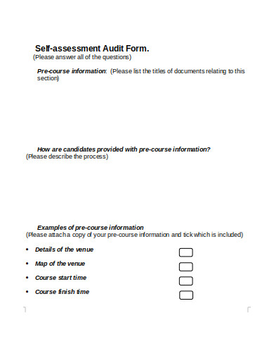 audit assessment form