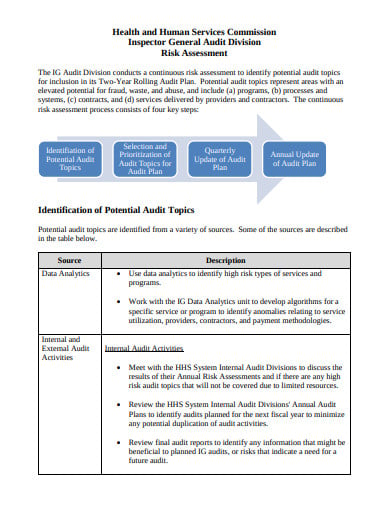 audit-division-risk-assessment-example