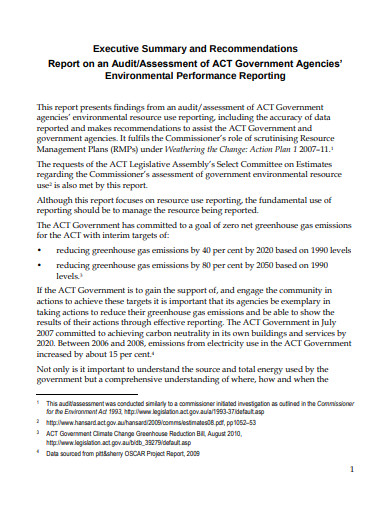 Internal Audit Executive Summary Example