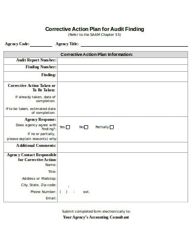 audit finding corrective action plan template