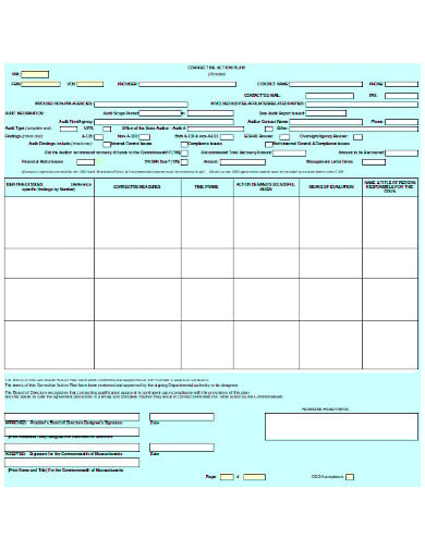 audit information corrective action plan template