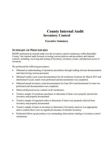 audit-internal-inventory-template