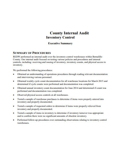 audit internal inventory template