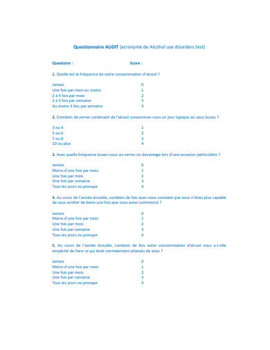 audit-questionnaire-example