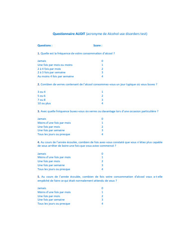 24 Audit Questionnaire Templates PDF DOC