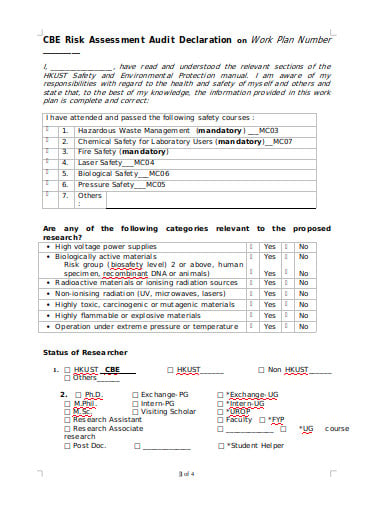 10 Audit Risk Assessment Templates In Pdf Xls Doc 4862