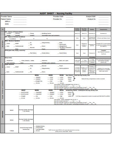 FREE 11+ Audit Sheet Templates in PDF | MS Word