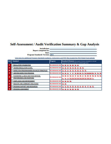 audit-verification-gap-analysis-template