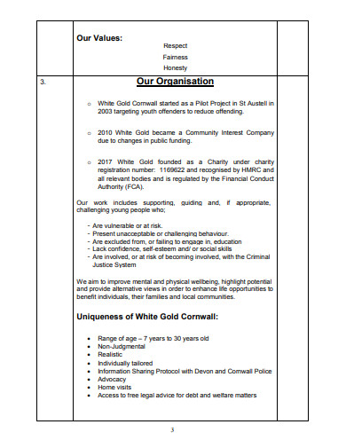 basic charity business plan template