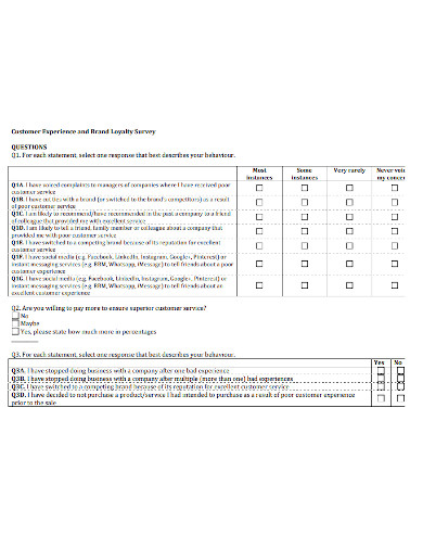 5+ Customer Loyalty Survey Templates in PDF | DOC