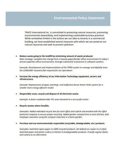basic environmental policy statement
