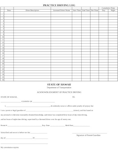 8+ Practice Driving Log Templates in PDF