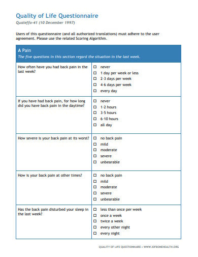 21 Quality Questionnaire Templates In Pdf Microsoft Word 9087