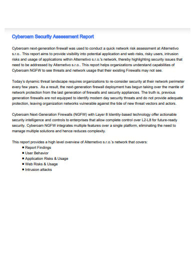 basic security assessment report