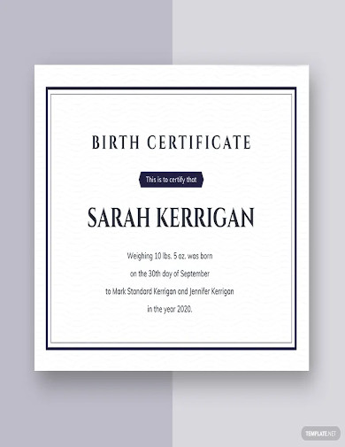 blank birth certificate sample template