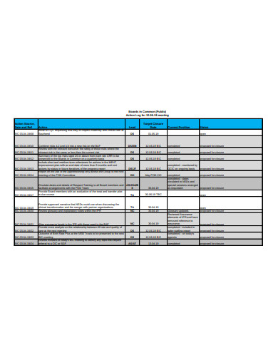 board common public meetiong action log