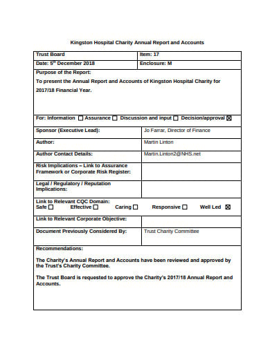 charity-annual-report-accounts-in-pdf