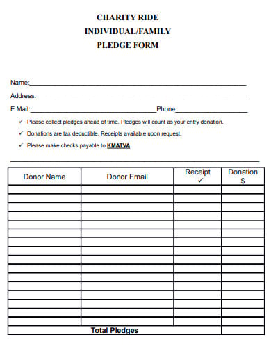 charity-family-pledge-form-in-pdf