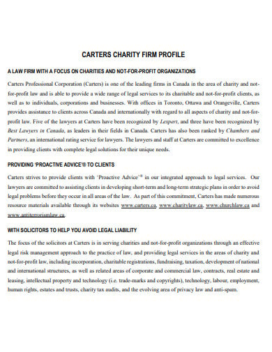 charity frim profile template