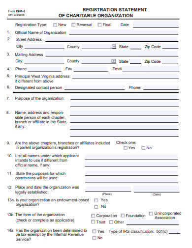charity organization registration statement form template