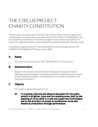 charity project constitution template
