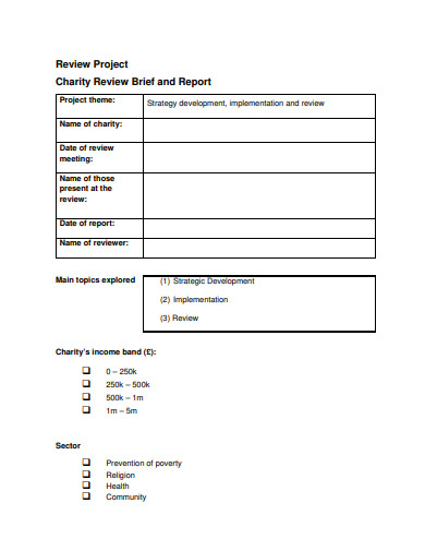 3 Charity Project Plan Templates In PDF