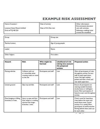 charity risk assessment example