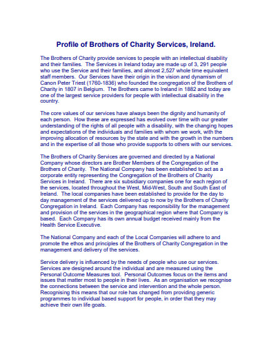 charity business plan examples