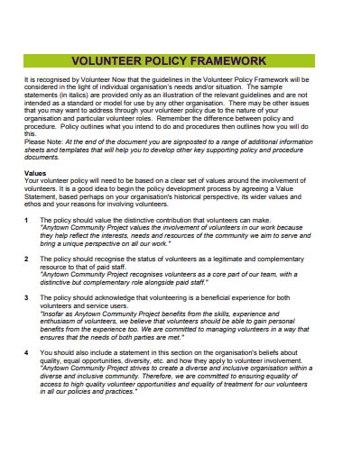 charity volunteer management policy framework