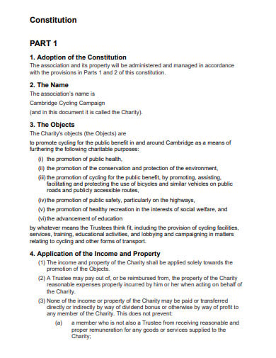 charity constitution template