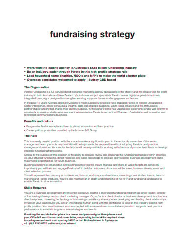 charity fundraising strategy development