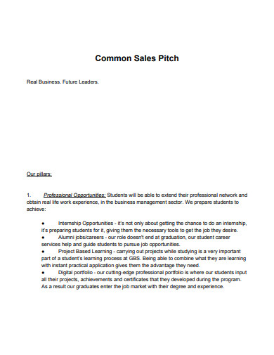 common sales pitch template