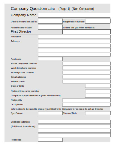 company formation accounting questionnaire in xls