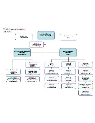 company organization chart in pdf