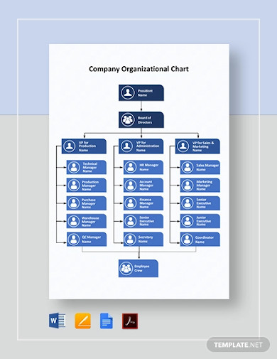 company organizational chart template