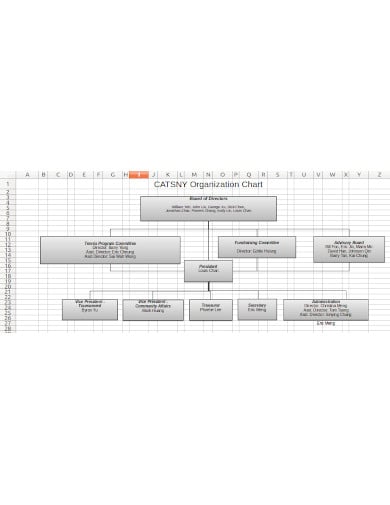 company organizational chart in excel